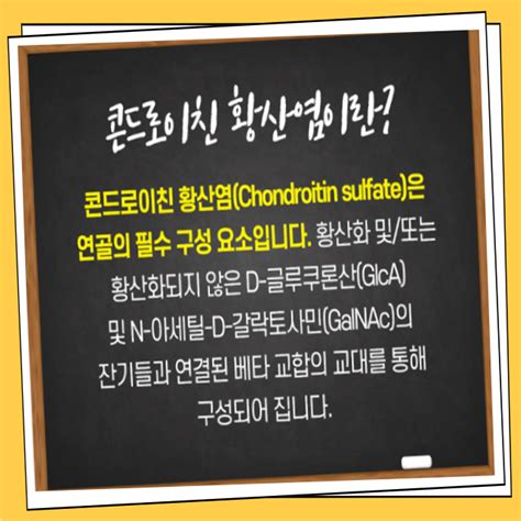 소연골 Vs 상어연골 콘드로이친 비교분석 당신의 선택은 네이버 블로그