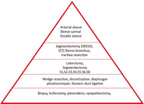 Suggested Uniportal Video Assisted Thoracoscopic Surgery Learning