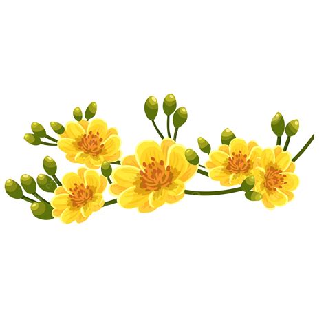 Fleur Jaune Abricot Vecteur Png Fleur Abricot Jaune Png Et Vecteur