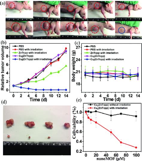 In Vivo Antitumor Efficacy Of Np 1 On Hct116 Subcutaneous Xenograft