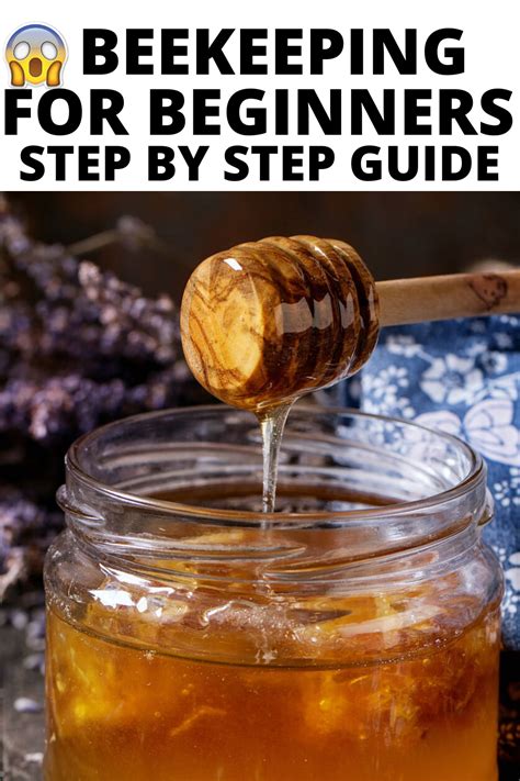 Beekeeping For Beginners How To Start Beekeeping Beekeeping For