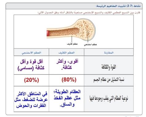 قارن بين العظم الكثيف والعظم الاسفنجي منصة العلم