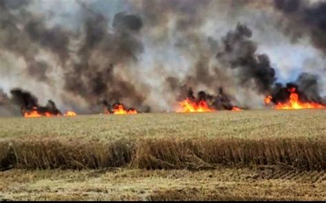 Incendiu Puternic N Jude Ul Gala I De Hectare De Gr U Au Fost