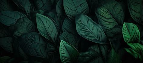 Illustrated Leaves Stock Photos Images And Backgrounds For Free Download