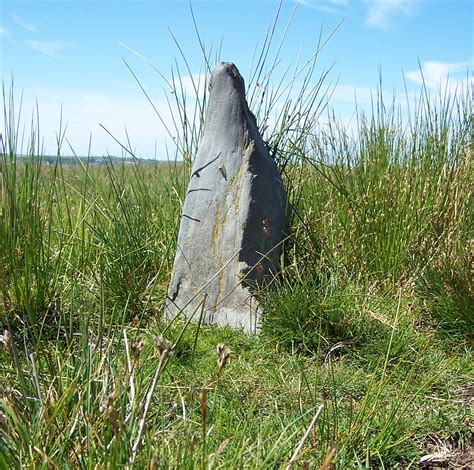 Exmoor Celia Haddon