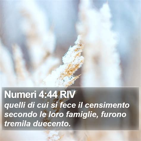 Numeri 4 44 RIV Quelli Di Cui Si Fece Il Censimento Secondo Le