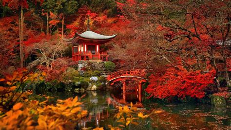 Kyoto Autumn Wallpapers - Top Free Kyoto Autumn Backgrounds ...