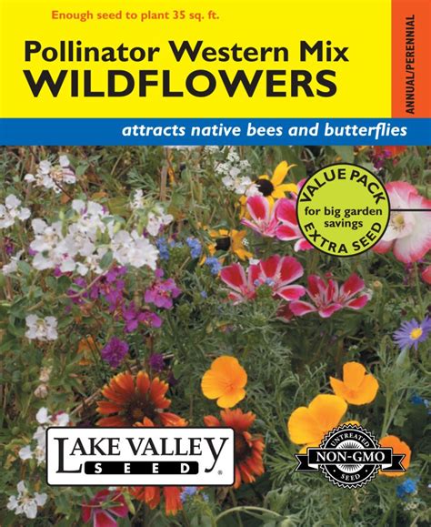 Wildflowers Pollinator Western Mix Item 4011 Lake Valley Seed