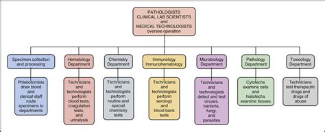 Clinical Laboratory Organizational Chart Philippines