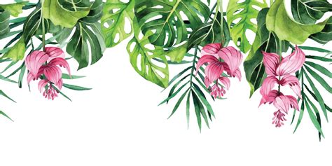 Watercolor Drawing Horizontal Border With Tropical Leaves And Flowers