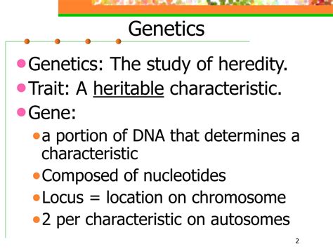 Ppt Mendelian Genetics Powerpoint Presentation Free Download Id 8704348