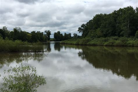 Protecting Oxbow Lakes