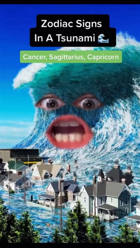 Tik Tok Zodiac Signs Funny Zodiac Signs Zodiac Funny