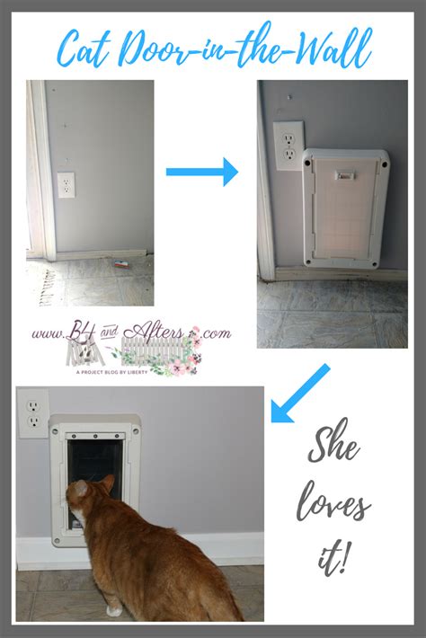 We Had An Inexpensive Cat Door Installed In The Wall For Our Cat She