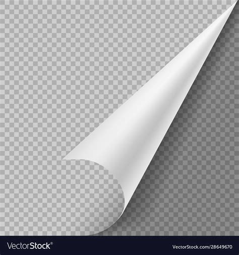 Curled Corner Paper Blank Page Or Sticker Vector Image