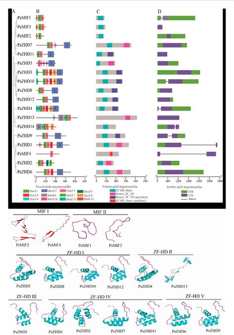 Figure 3 from Genome wide identi ﬁ cation and expression analysis of