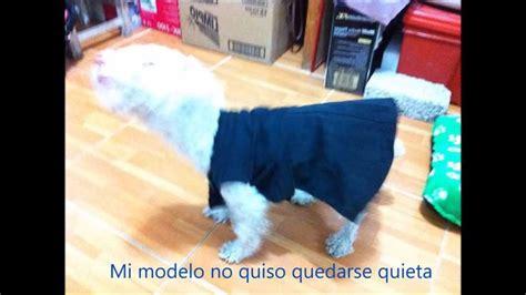 Diy Como Hacer Un Vestido Para Perrita Ropa Para Perro Diy Perros