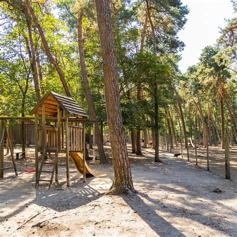 Wildfreigehege N Ttler Berg In Saerbeck Freizeitpark Im M Nsterland