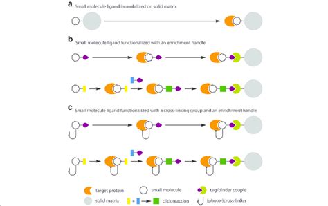 Affinity Probes For The Identification Of Drug Targets By Chemical