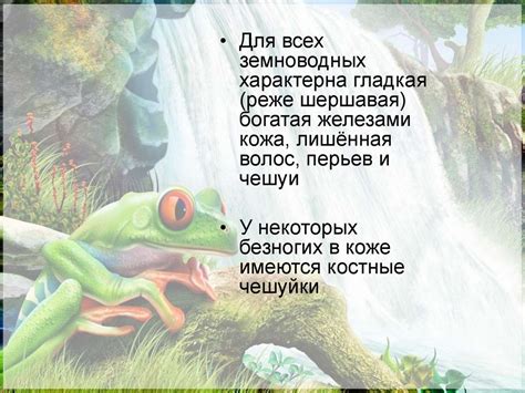 Амфибии или земноводные - первые наземные позвоночные животные ...