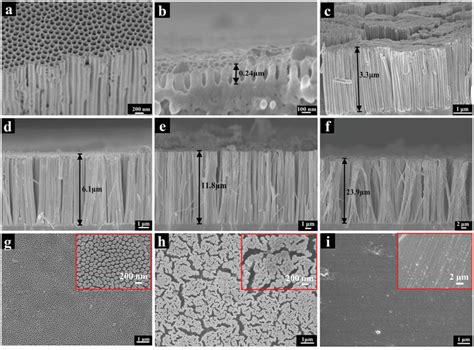 A Top And Crosssectional View Of Aao Bf Pp Nanowire With Different