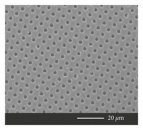 Micropatterned Surfaces On PDMS A 100x Optical Micrograph And B