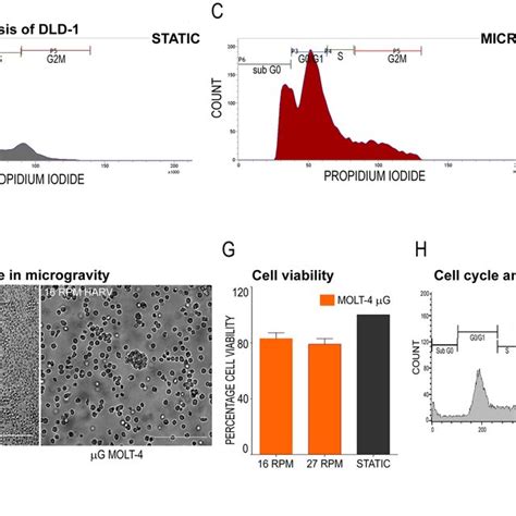 Effect Of Microgravity On Cell Viability And Cell Cycle Of DLD 1 And