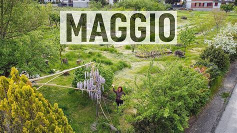 Orto A Maggio Tour Al Bosco Di Ogigia Youtube