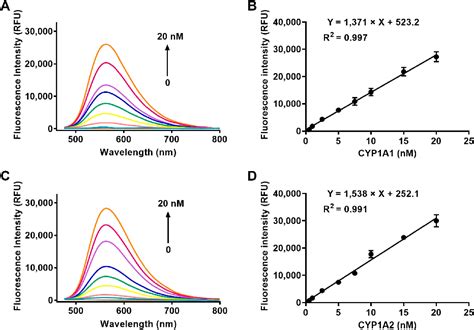 Pdf Endoplasmic Reticulum Targeting Two Photon Fluorescent Probe For