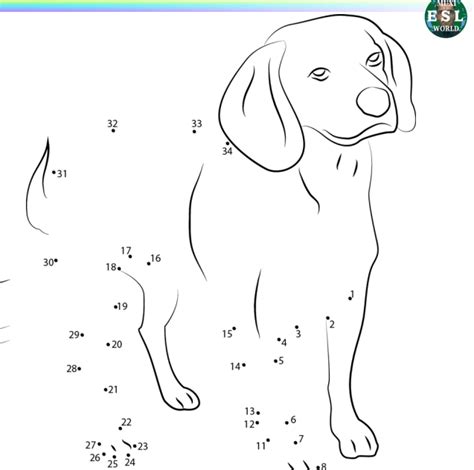Animals Worksheet Muxi Esl World