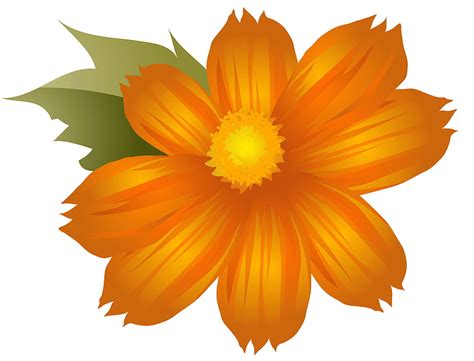 Orange Flower Transparent Orange Flower Transparent Png ClipArts On