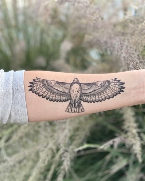 Details More Than Traditional Red Tailed Hawk Tattoo Latest In