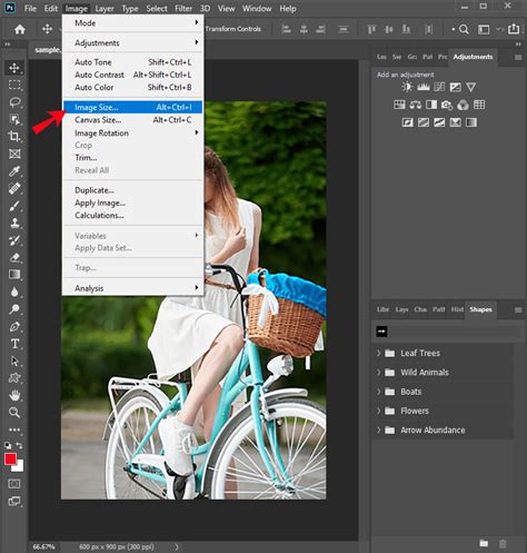 How To Change the DPI in Photoshop