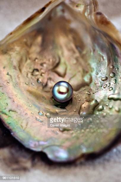 Pearl Inside Oyster Shell Fotografías E Imágenes De Stock Getty Images