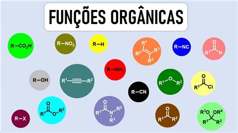 O Que E Funcao Organica Image To U