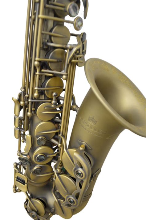 Schiller Elite V Luxus Alto Saxophone Antique Brass Jim Laabs Music Store