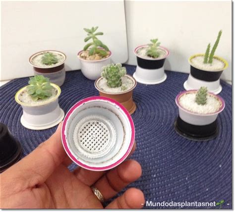 Mundo Das Plantas Como Fazer Um Mini Vasinho Mini Jardim DIY