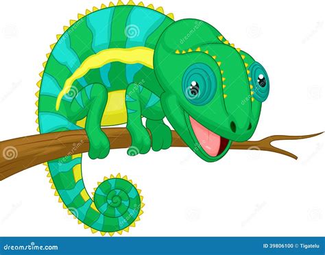 Chameleon Lizards Cartoon Reptile Animals Stock Illustration Download