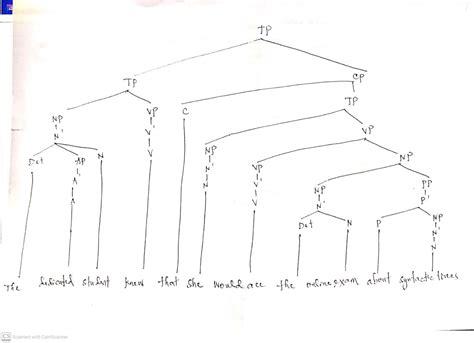 Solved Draw A X Bar Theory Tree For The Following English Sentence