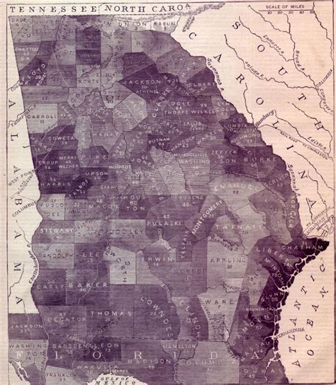 1861 Slave Map of Georgia