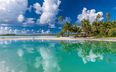 Hd Wallpaper Palm Trees On Paradise Beach Illustration Tropical