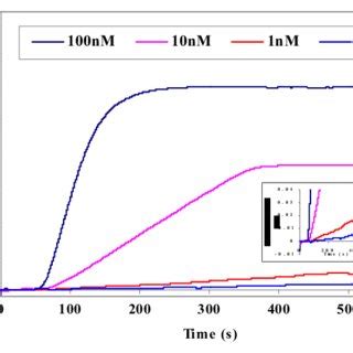 Synthetic oligonucleotide hybridization. Capture oligo is fixed to ...