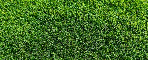 Tiftuf Bermuda Grass Suppliers Greenway Turf