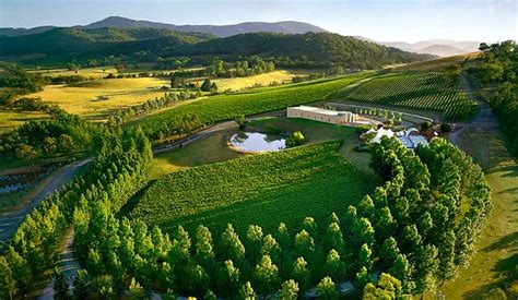 Yarra Valley Melbourne Victoria Attractions Arround And Luxury Asia