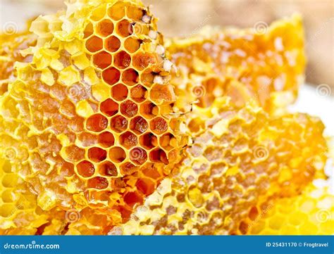 Honeycomb Wax Stock Photo Image Of Beehive Concept 25431170