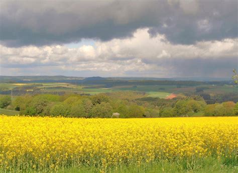 Warm aber nass Kein Frühlingswetter in Sicht