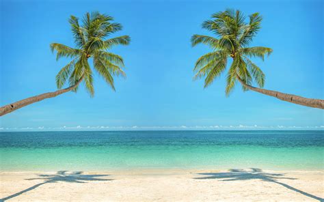 Top 999 Tropical Desktop Wallpapers Full Hd 4k Free To Use