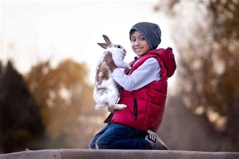 20 Benefits of Raising Kids Around Animals • RUN WILD MY CHILD