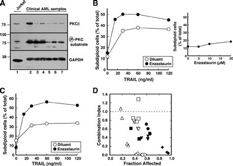 Enzastaurin Sensitizes Clinical Acute Myelogenous Leukemia Samples To