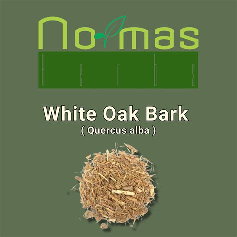 White Oak Bark ( Quercus alba ) | NormasHerbs.com